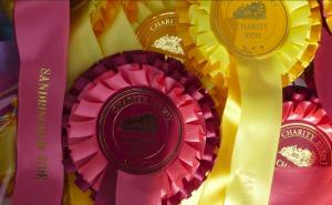 Charity Horse Ride - rosettes