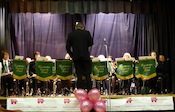 Concert to raise money for the Breast Cancer CampaignTown Hall, Downham Market19th October, 2013Photo - Jan Foster